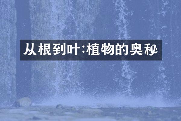 从根到叶:植物的奥秘