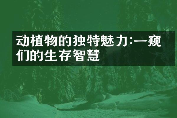动植物的独特魅力:一窥它们的生存智慧