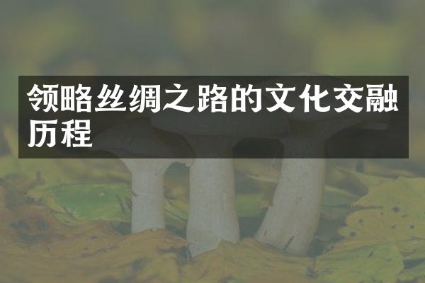 领略丝绸之路的文化交融历程