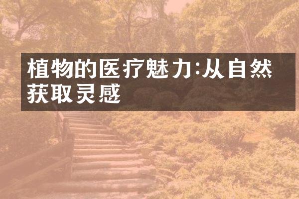 植物的医疗魅力:从自然中获取灵感