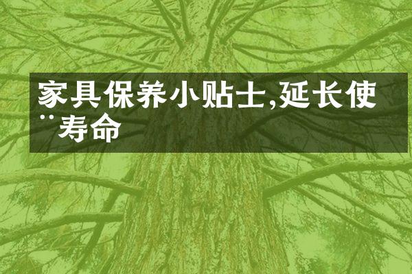家具保养小贴士,延长使用寿命