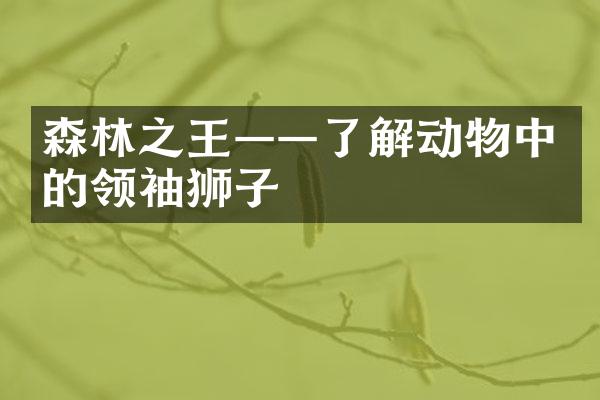 森林之王——了解动物中的领袖狮子