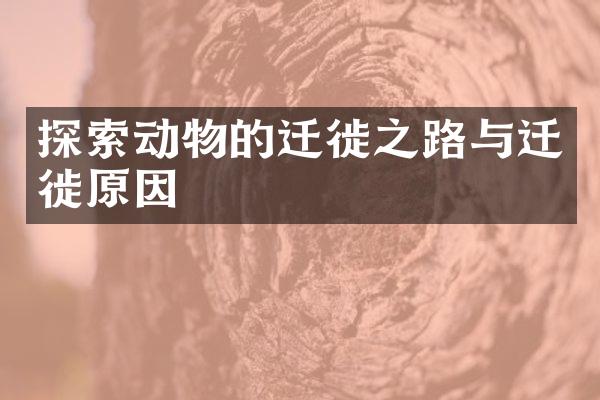 探索动物的迁徙之路与迁徙原因