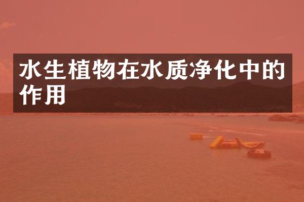 水生植物在水质净化中的作用
