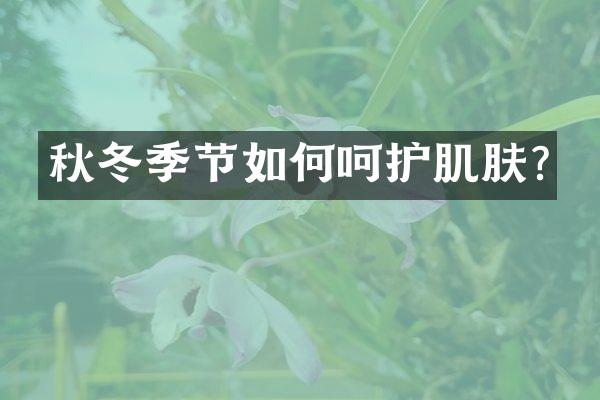 秋冬季节如何呵护肌肤?
