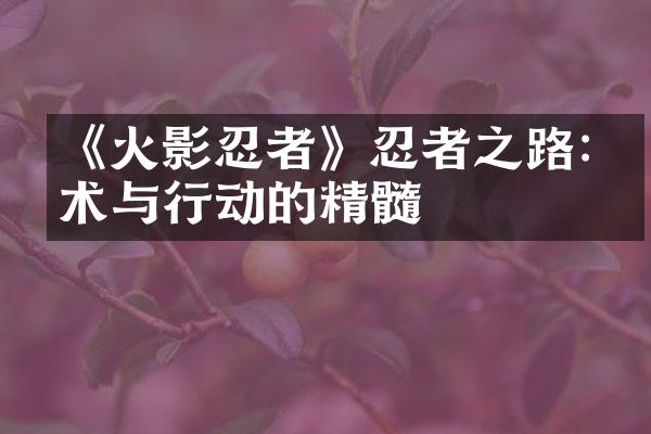 《火影忍者》忍者之路:忍术与行动的精髓