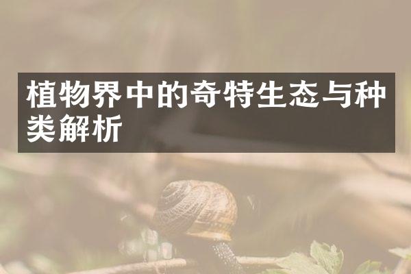 植物界中的奇特生态与种类解析