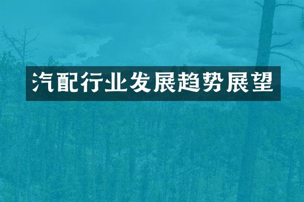 汽配行业发展趋势展望