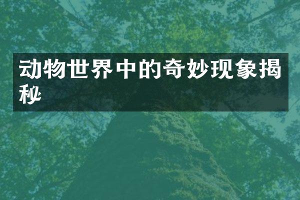 动物世界中的奇妙现象揭秘