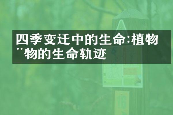 四季变迁中的生命:植物动物的生命轨迹
