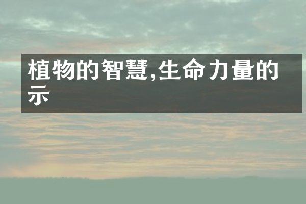 植物的智慧,生命力量的启示