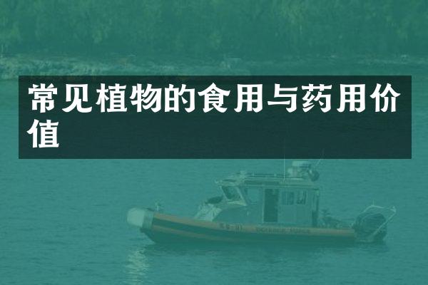 常见植物的食用与药用价值