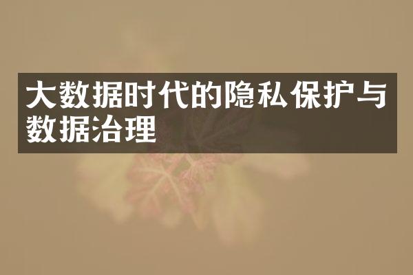 大数据时代的隐私保护与数据治理