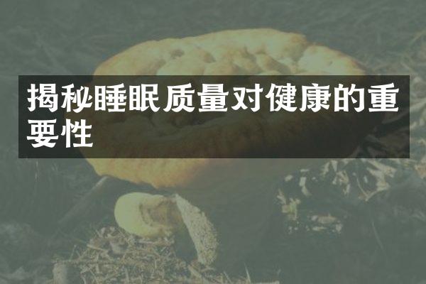 揭秘睡眠质量对健康的重要性
