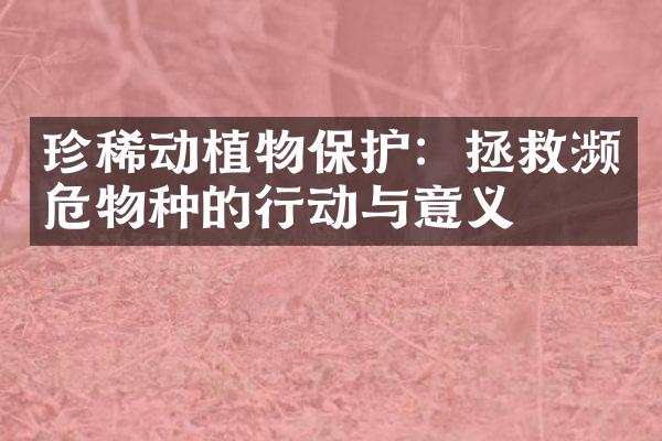 珍稀动植物保护：拯救濒危物种的行动与意义