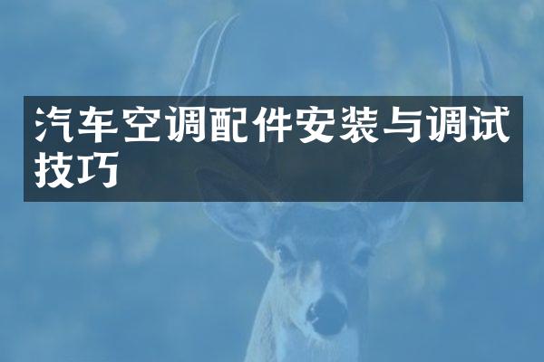汽车空调配件安装与调试技巧