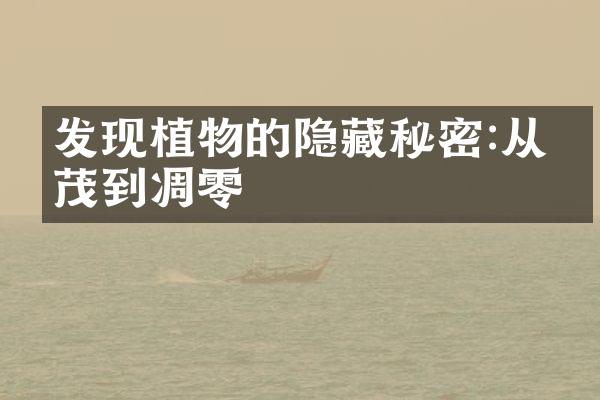 发现植物的隐藏秘密:从繁茂到凋零