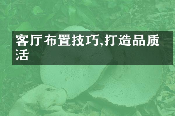 客厅布置技巧,打造品质生活