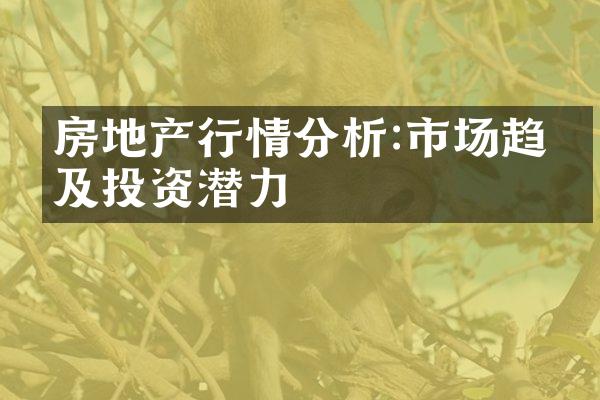 房地产行情分析:市场趋势及投资潜力