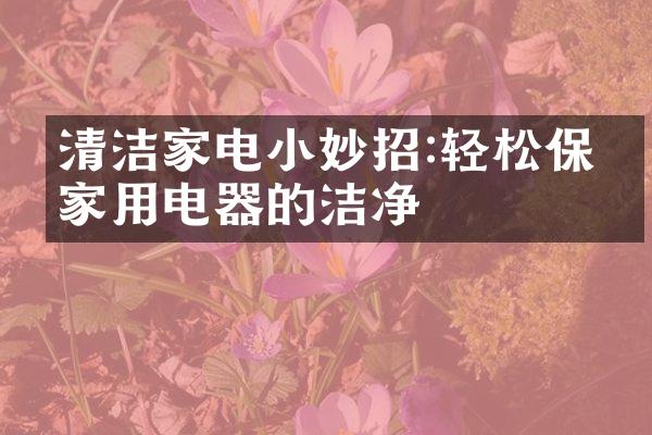 清洁家电小妙招:轻松保持家用电器的洁净
