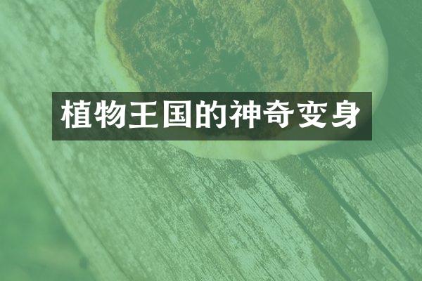 植物王国的神奇变身