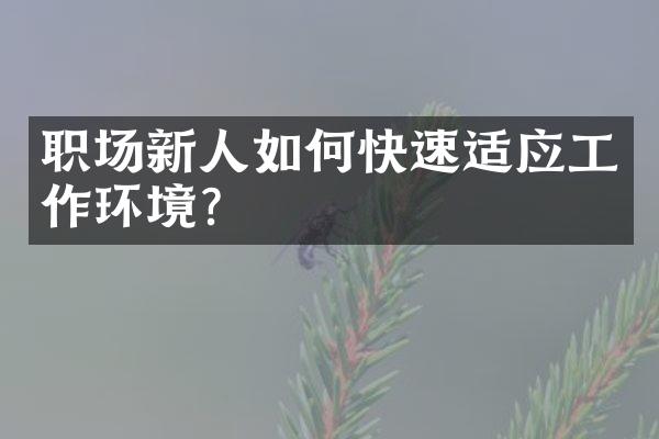 职场新人如何快速适应工作环境?