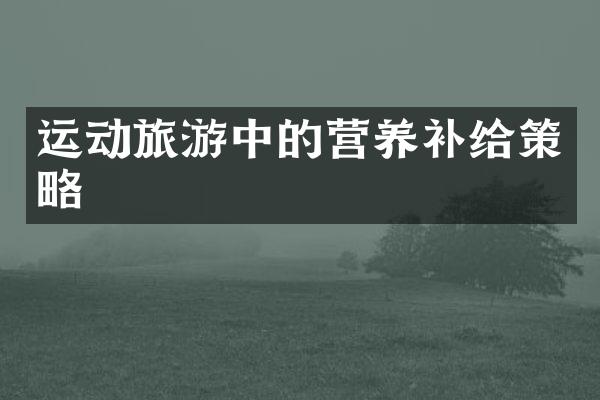 运动旅游中的营养补给策略