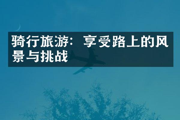 骑行旅游：享受路上的风景与挑战