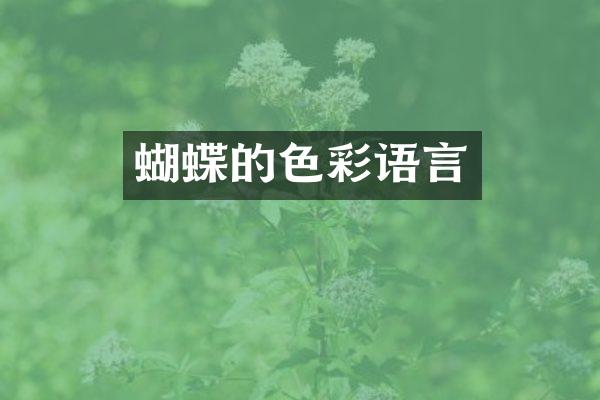 蝴蝶的色彩语言