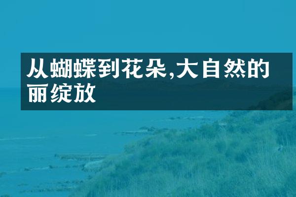 从蝴蝶到花朵,大自然的华丽绽放