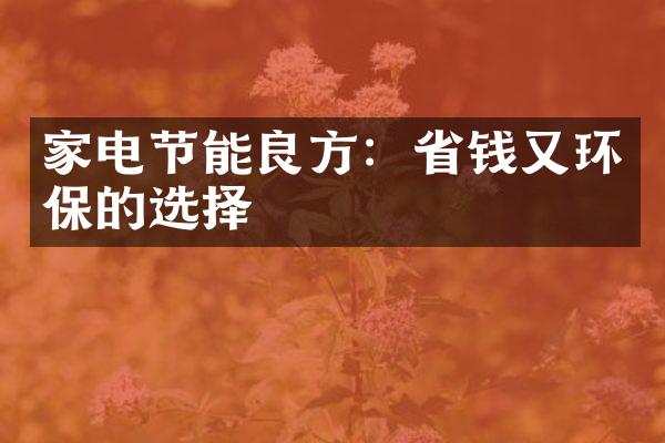 家电节能良方：省钱又环保的选择
