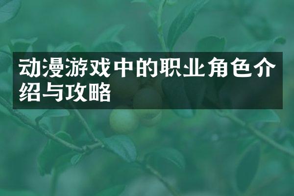 动漫游戏中的职业角色介绍与攻略