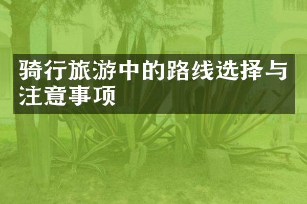 骑行旅游中的路线选择与注意事项