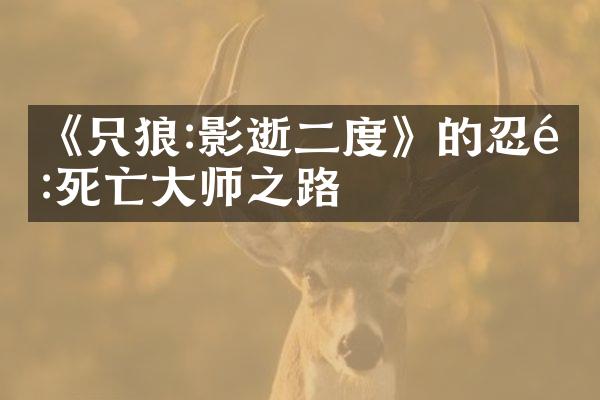 《只狼:影逝二度》的忍道:死亡大师之路