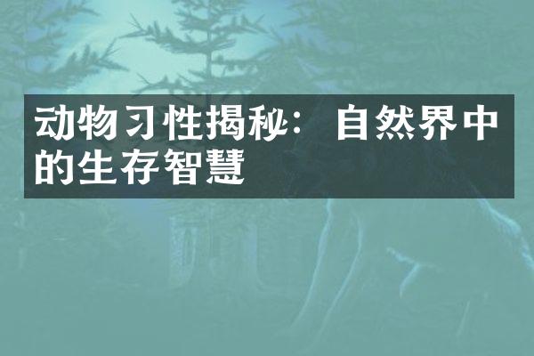 动物习性揭秘：自然界中的生存智慧