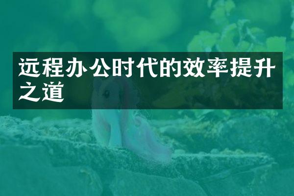 远程办公时代的效率提升之道