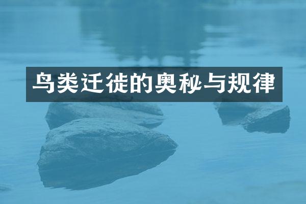 鸟类迁徙的奥秘与规律