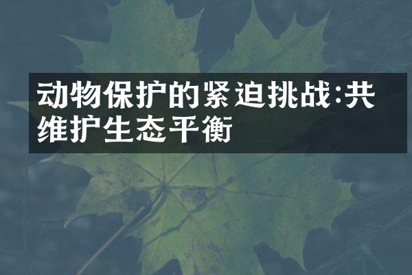 动物保护的紧迫挑战:共同维护生态平衡