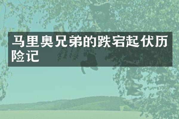马里奥兄弟的跌宕起伏历险记