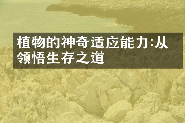 植物的神奇适应能力:从中领悟生存之道