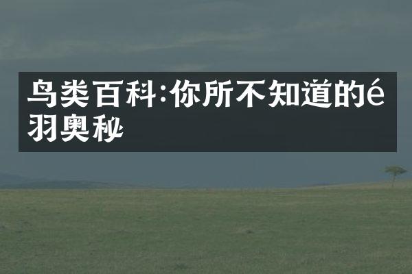 鸟类百科:你所不知道的飞羽奥秘