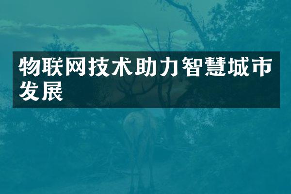 物联网技术助力智慧城市发展