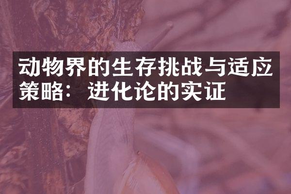 动物界的生存挑战与适应策略：进化论的实证