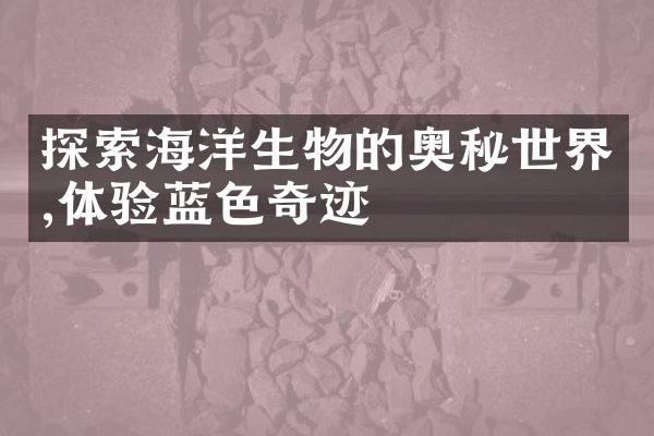 探索海洋生物的奥秘世界,体验蓝色奇迹