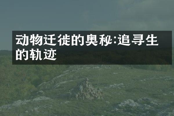 动物迁徙的奥秘:追寻生命的轨迹