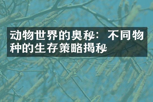 动物世界的奥秘：不同物种的生存策略揭秘
