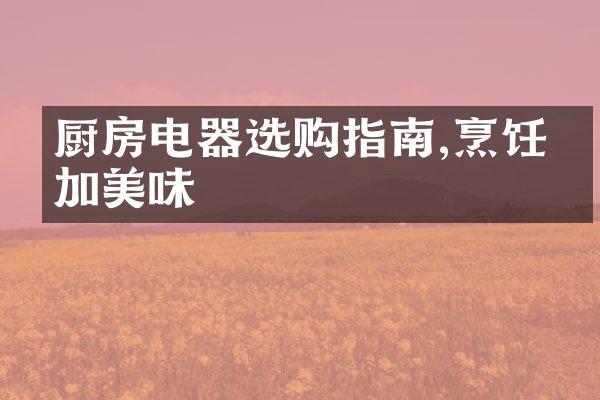 厨房电器选购指南,烹饪更加美味