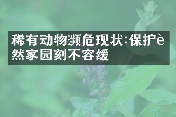 稀有动物濒危现状:保护自然家园刻不容缓