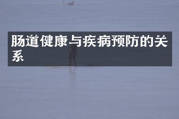 肠道健康与疾病预防的关系