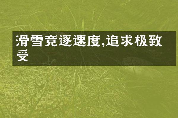 滑雪竞逐速度,追求极致感受